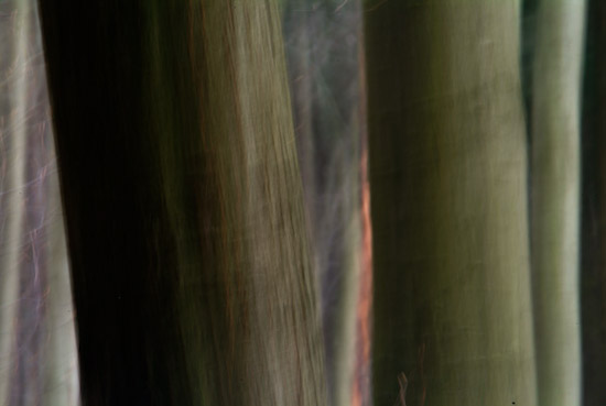nil